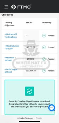 White Hat Fx EA Review3