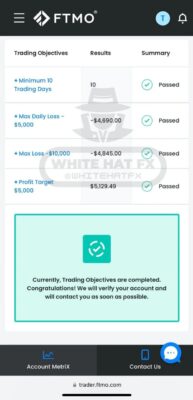 White Hat Fx EA Review4