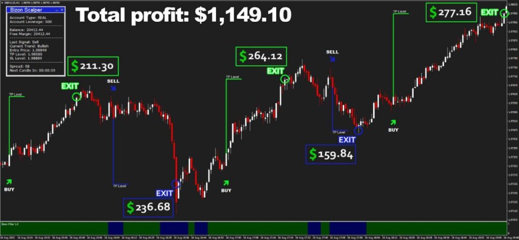 Bizon Scalper EA Results1