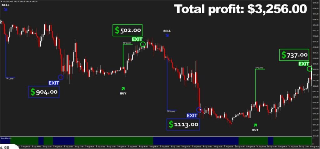 Bizon Scalper EA Results2