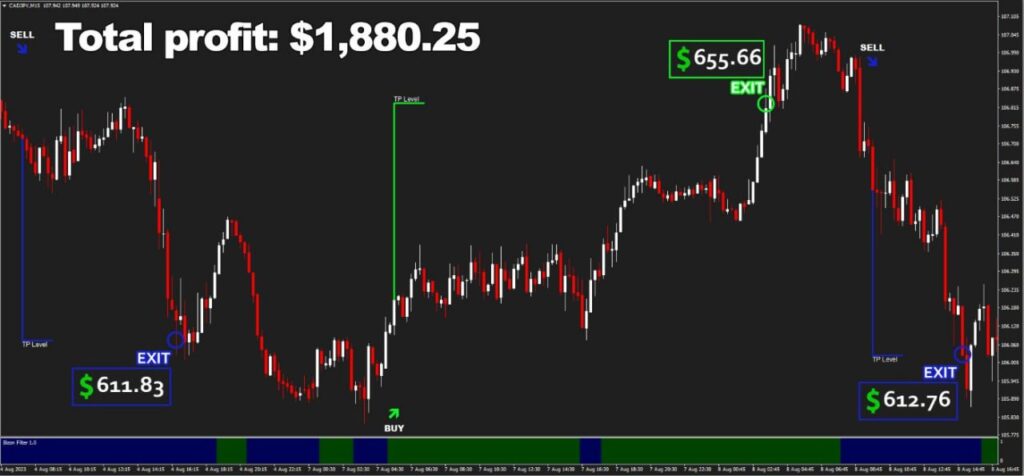 Bizon Scalper EA Results3